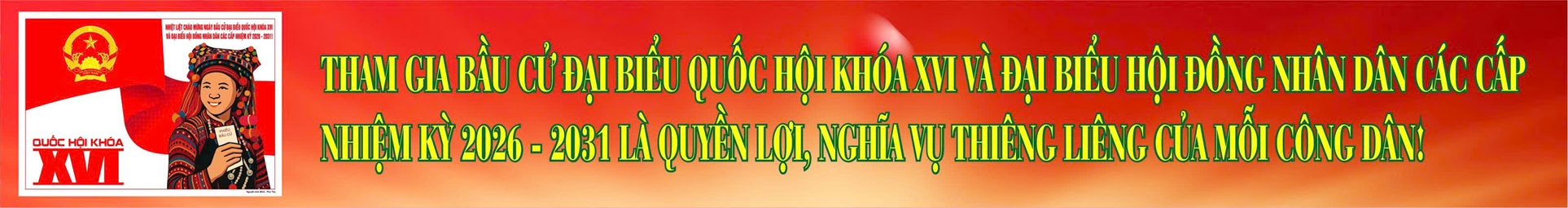 bầu cử